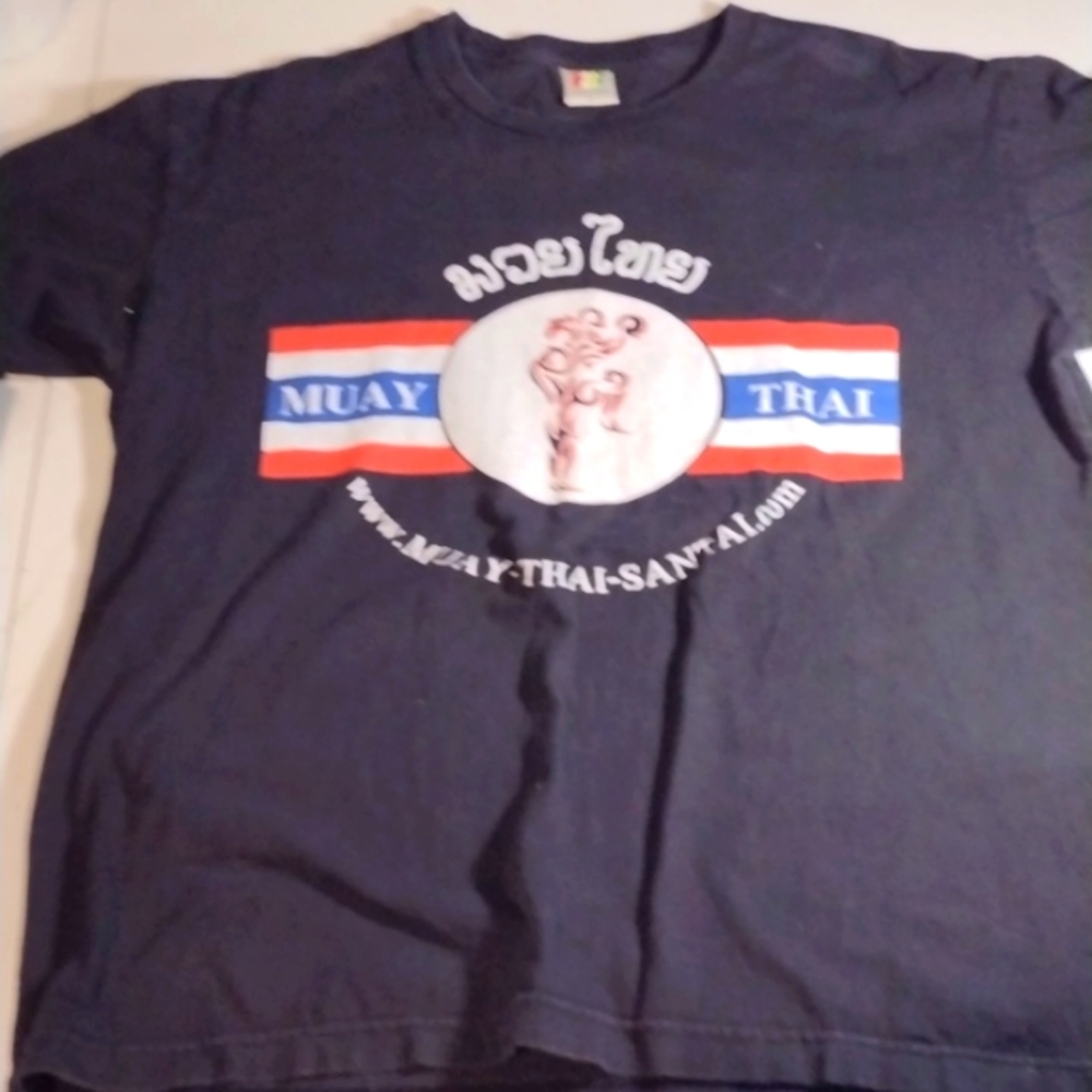 Vintage men's large Mua-Thai tee shirt, made in Thailand Colour Takingness tag
